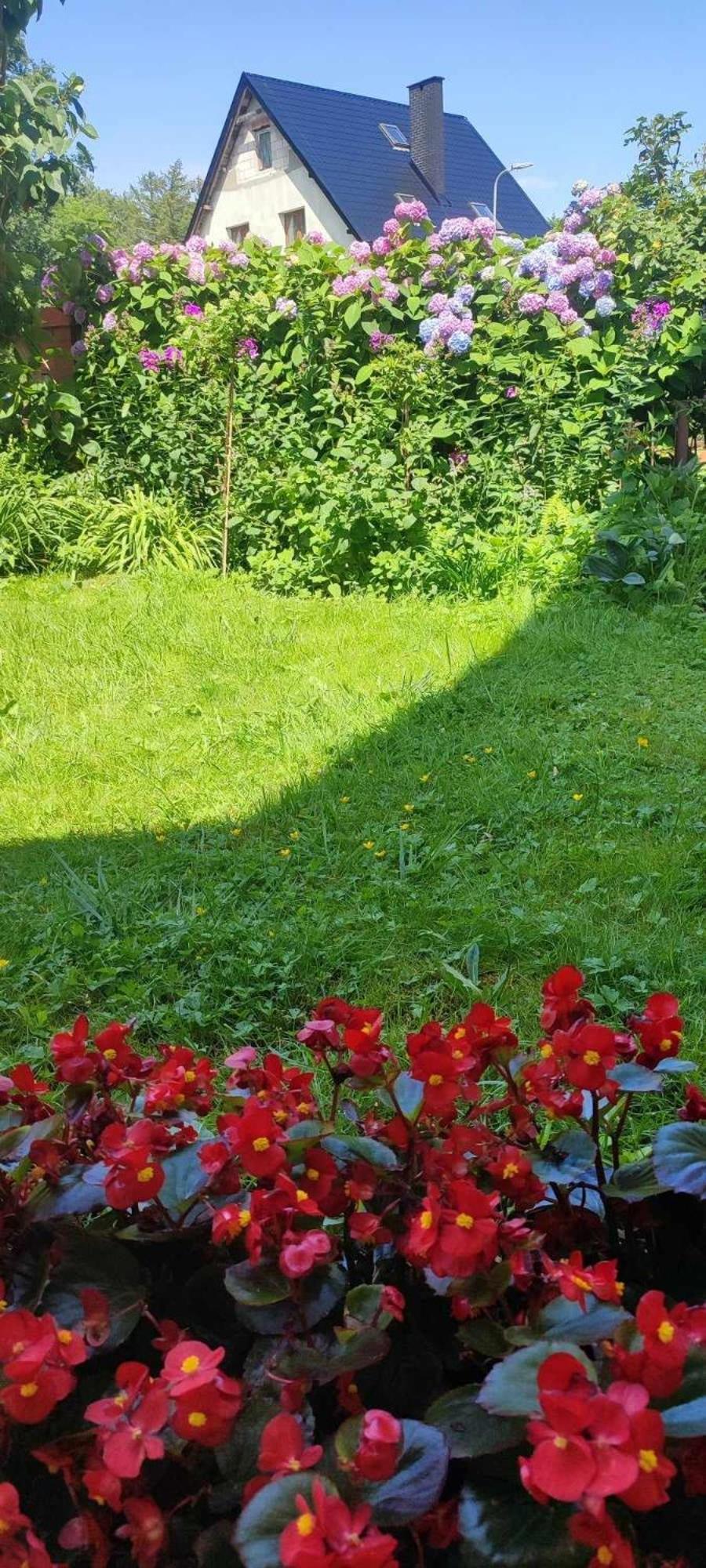 Pokoje Goscinne Anna Ustka Extérieur photo